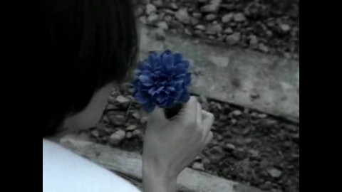 1997 - Синяя Георгина "Эротическая одержимость"