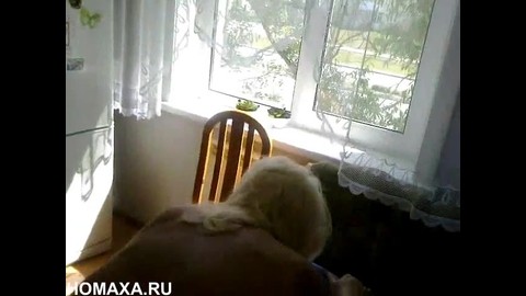 On the kitchen table doggystyle fucking father while fat