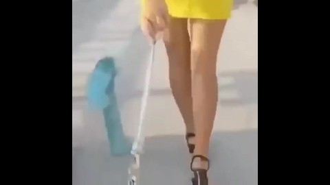 Walks on the roof