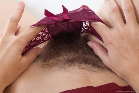 Natural hairy Roxette strips and spreads to reveal her very furry pits & pussy | Фото 3