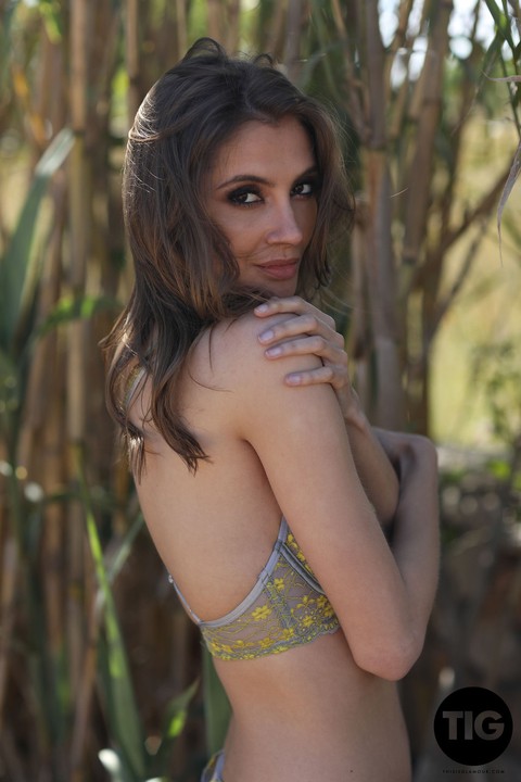 Brunette babe with a nice bosom Nicole Rose covers her boobs in a corn field | Фото 7