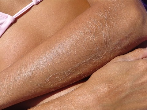 Hairy Arms Lori Anderson | Фото 19