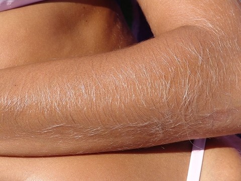 Hairy Arms Lori Anderson | Фото 21