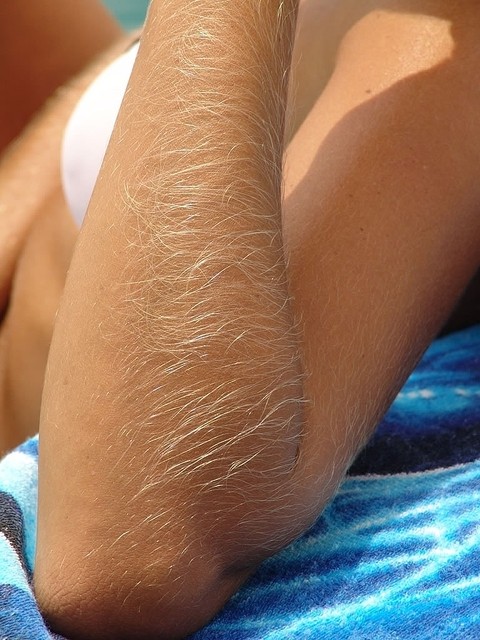 Hairy Arms Lori Anderson | Фото 18