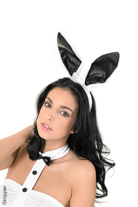 Hot brunette in bunny ears and a short skirt Foxxi Black does a striptease | Фото 4