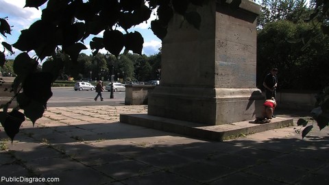 Public Disgrace Kitty, Steve Holmes | Фото 20