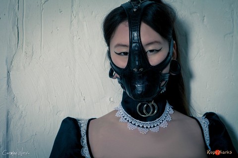 Korean model poses for a solo shoot in a naughty rubber maid outfit | Фото 13