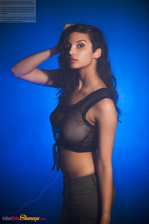 Indian female models non nude in a see thru top and shorts | Фото 2