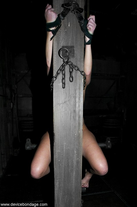 Brunette girl with small tits Ariel X gets tied up and abused in a dungeon | Фото 5