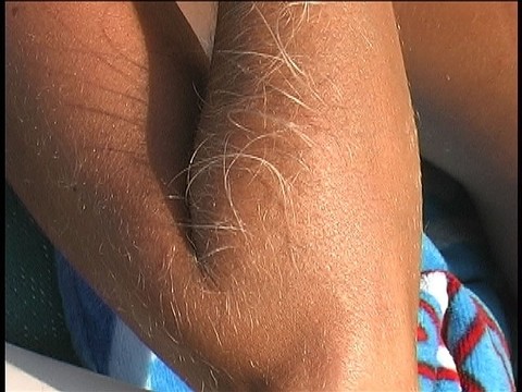 Hairy Arms Lori Anderson | Фото 20