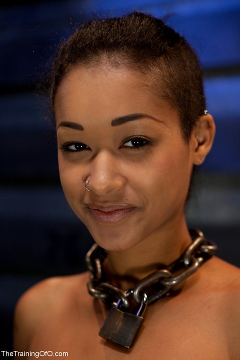 The Training Of O Skin Diamond | Фото 2