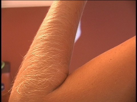 Hairy Arms Lori Anderson | Фото 1