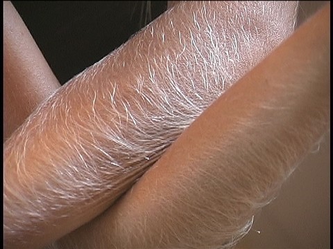 Hairy Arms Lori Anderson | Фото 16