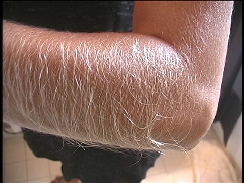 Hairy Arms Lori Anderson | Фото 4