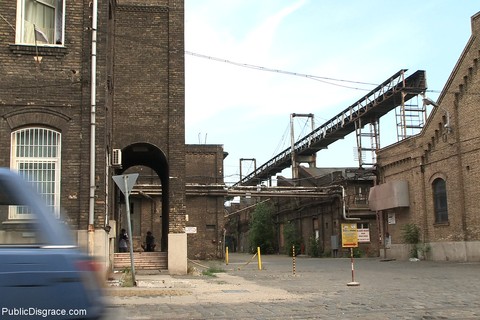 Public Disgrace Lucy Bell, Steve Holmes | Фото 13