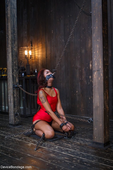 Inked ebony Skin Diamond gets tied up and toyed by master Orlando