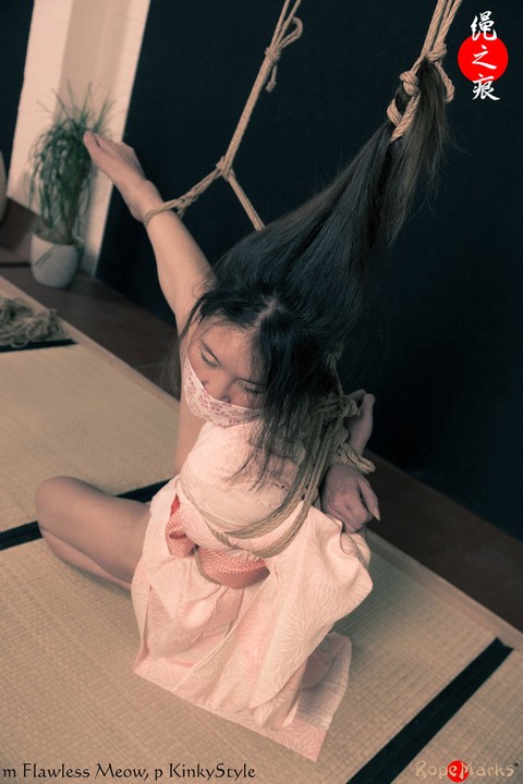 Asian chick Flawless Meow is tied with rope by her limbs and hair | Фото 6