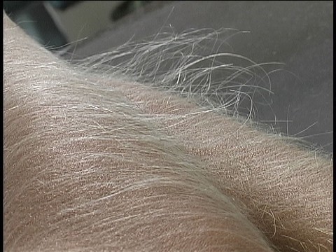 Hairy Arms Lori Anderson | Фото 13