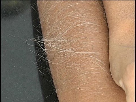 Hairy Arms Lori Anderson | Фото 17