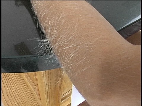 Hairy Arms Lori Anderson | Фото 6