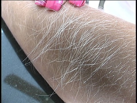 Hairy Arms Lori Anderson | Фото 9