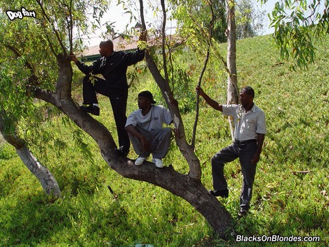 Young blonde slut gets gangbanged by black men in wooded backyard | Фото 1