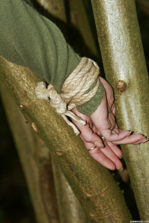 Sexy black haired Vixen gagged & roped up in jeans & boots & tied to a tree | Фото 6