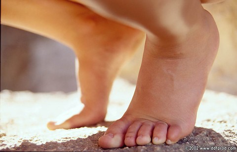 Horny Tiffany Diamond and Dorothy Black rub each other's muffs with their feet | Фото 12